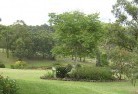 Allinghamresidential-landscaping-40.jpg; ?>